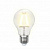 Лампа светодиодная LED-A60-8W/WW/E27/FR PLS02WH Форма 
